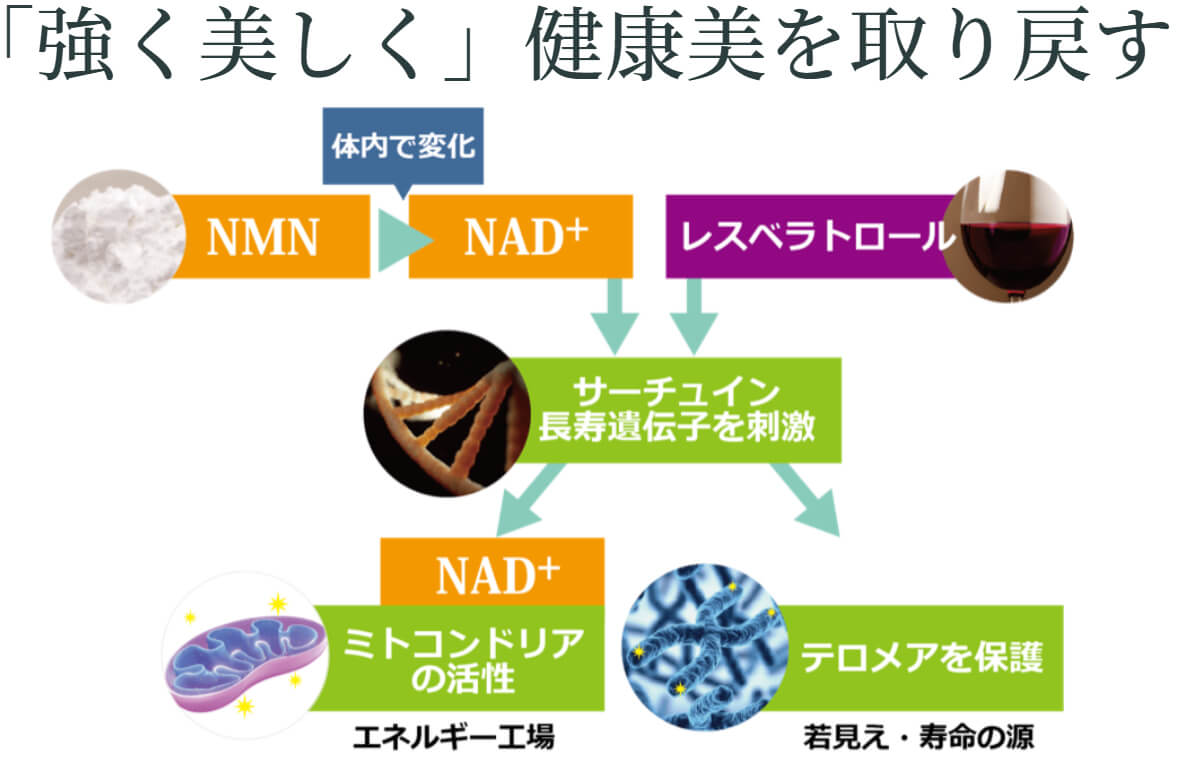 「強く美しく」健康美を取り戻す