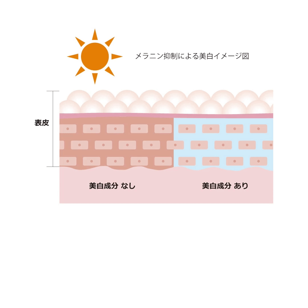 サイズダウン　パーフェクトゲル〈ゲル状美容液〉 SizeDown Perfect GEL｜超浸透系美容液｜株式会社LeoSizeDesign