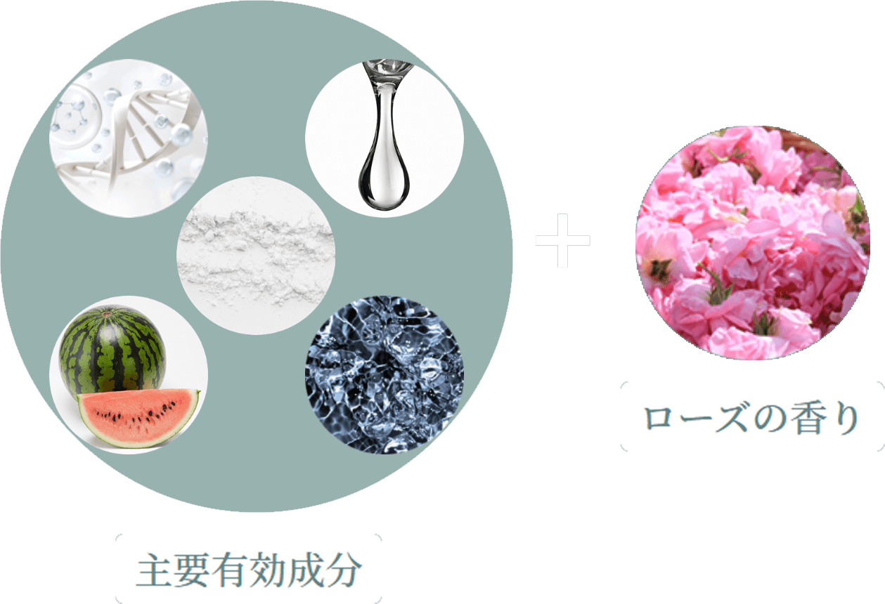 SizeDown Perfect GEL｜超浸透系美容液｜株式会社LeoSizeDesign