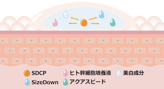 浸透イメージ