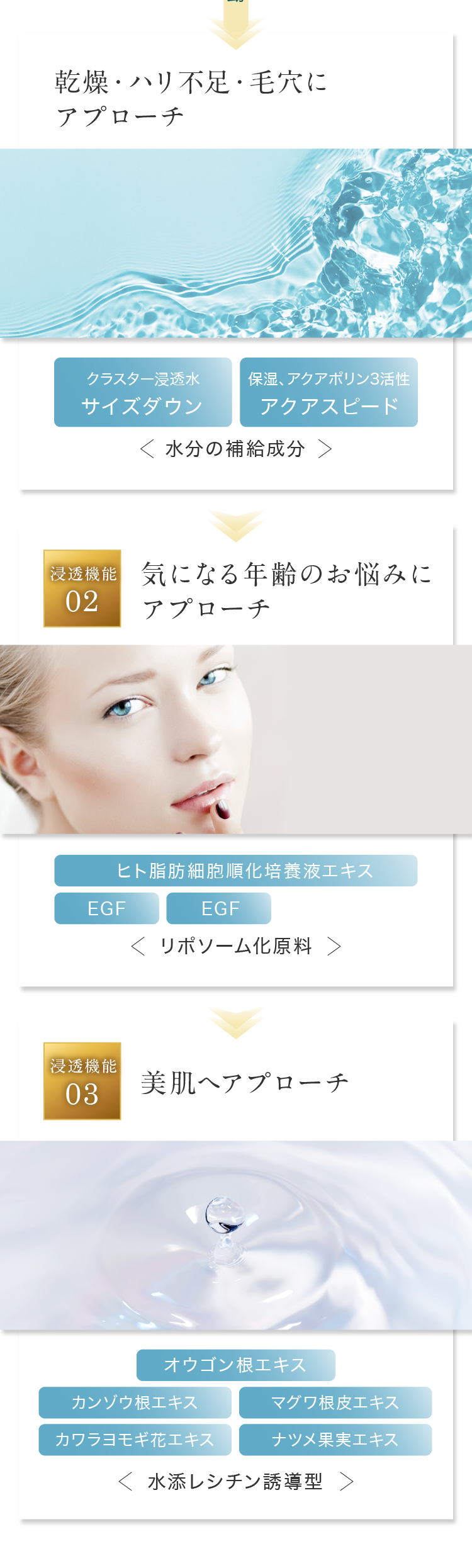 乾燥・ハリ不足・毛穴にアプローチ