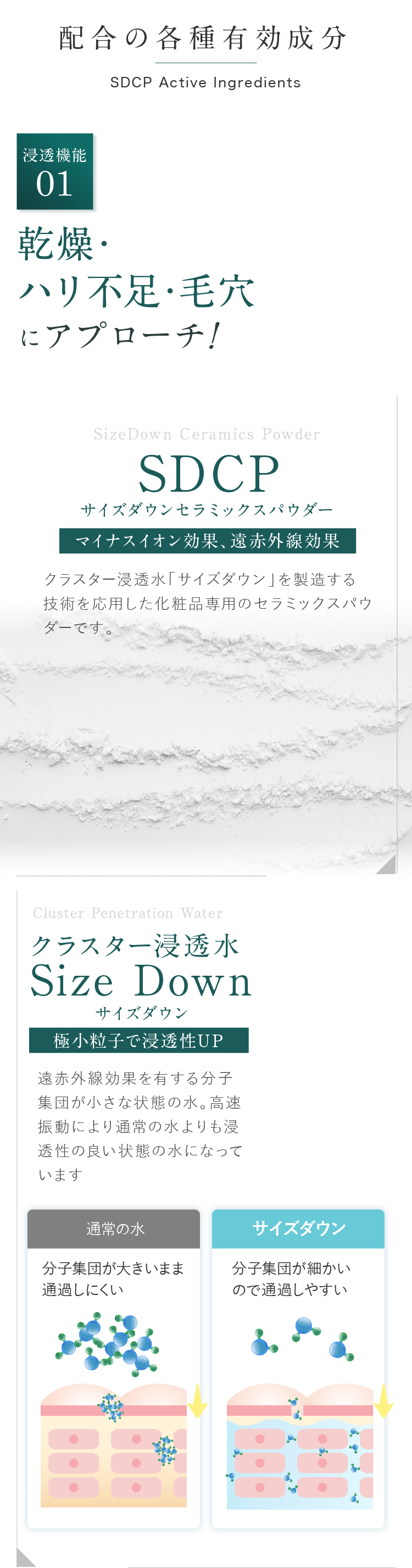 配合の各種有効成分