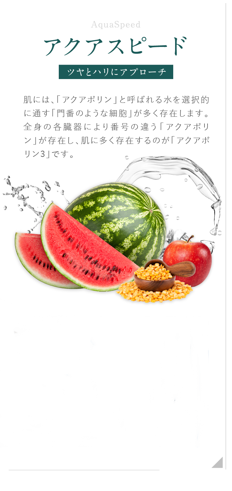 アクアスピード