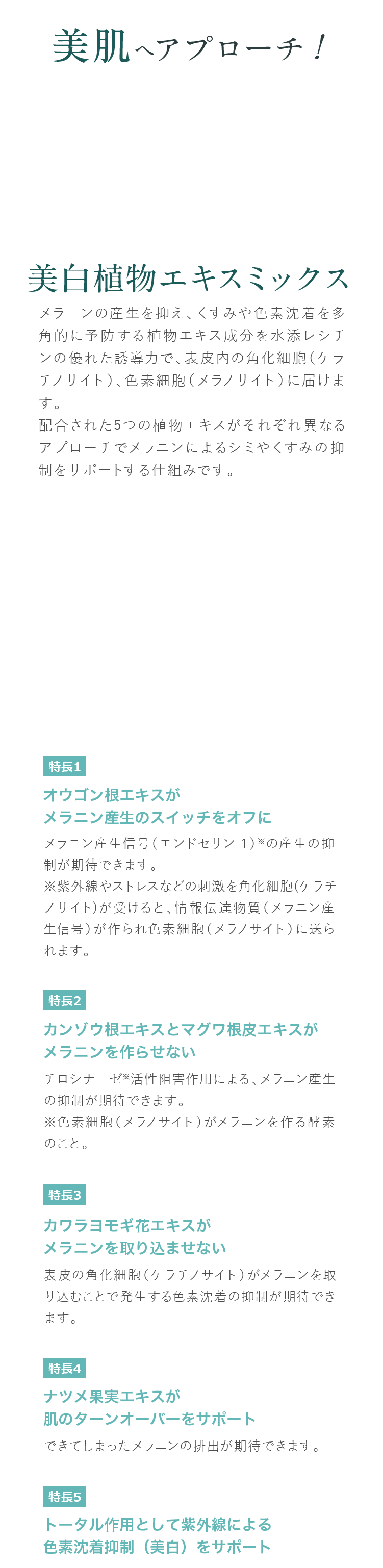 美肌へアプローチ